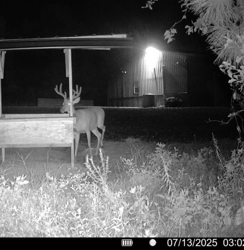 Hoxie Farm Photo